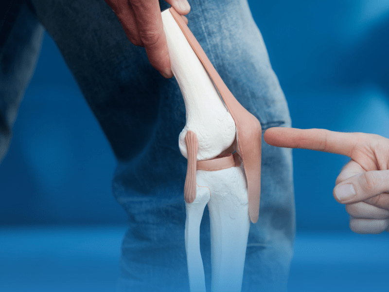 Menisküs – Uzm. Dr. Mehmet Kerem Uzun – Fiziksel Tıp Ve Rehabilitasyon